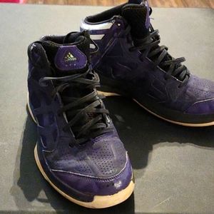 Adidas Crazy Shadow Purple/Black Basketball shoes